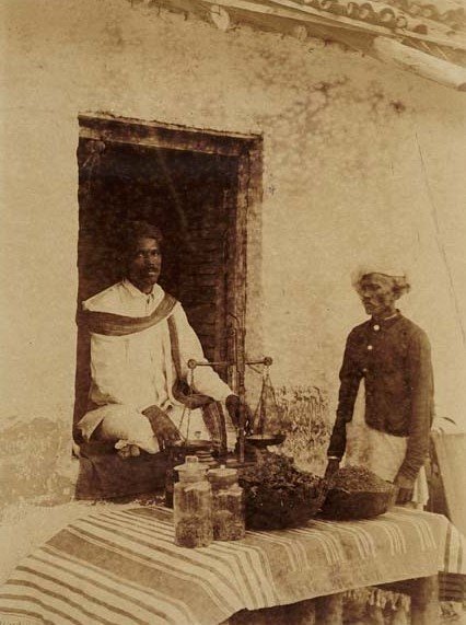 A hemp drug shop in Kandesh, India 1894, displaying bhang, ganja and majum
