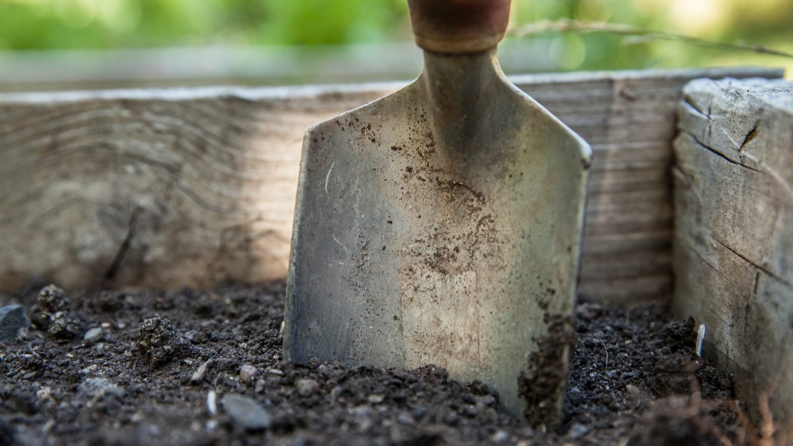 garden spade in soil