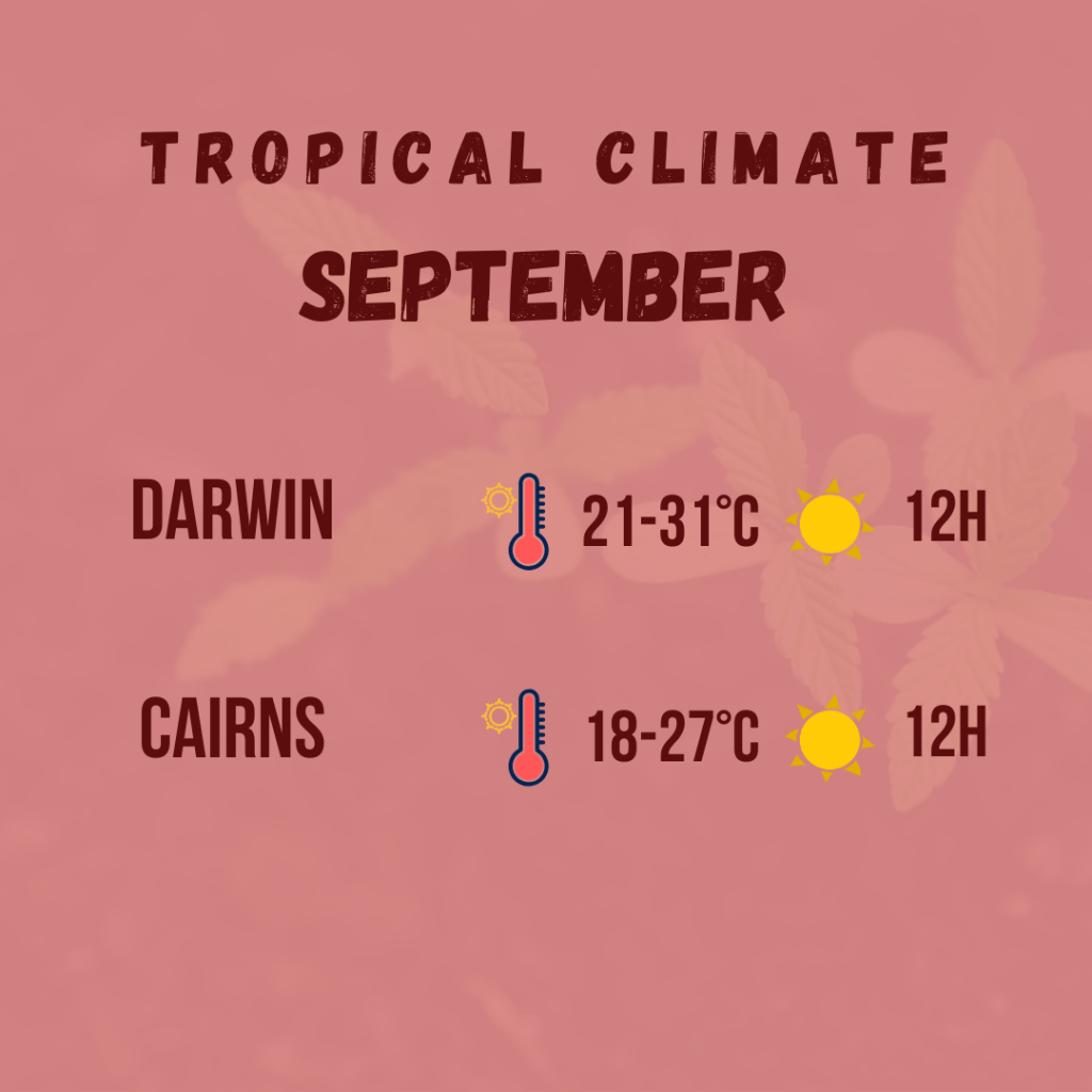 tropical climate diagram 8