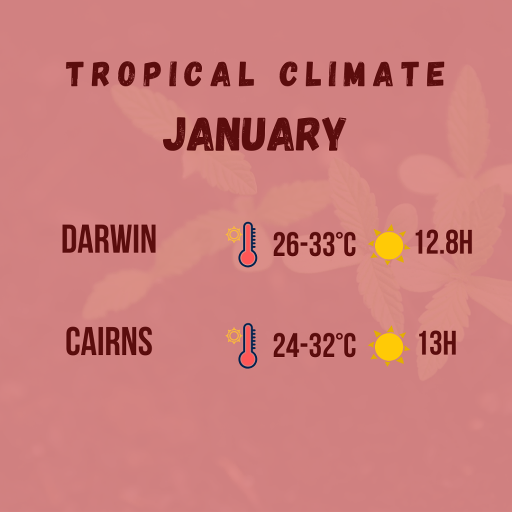 tropical climate diagram 4