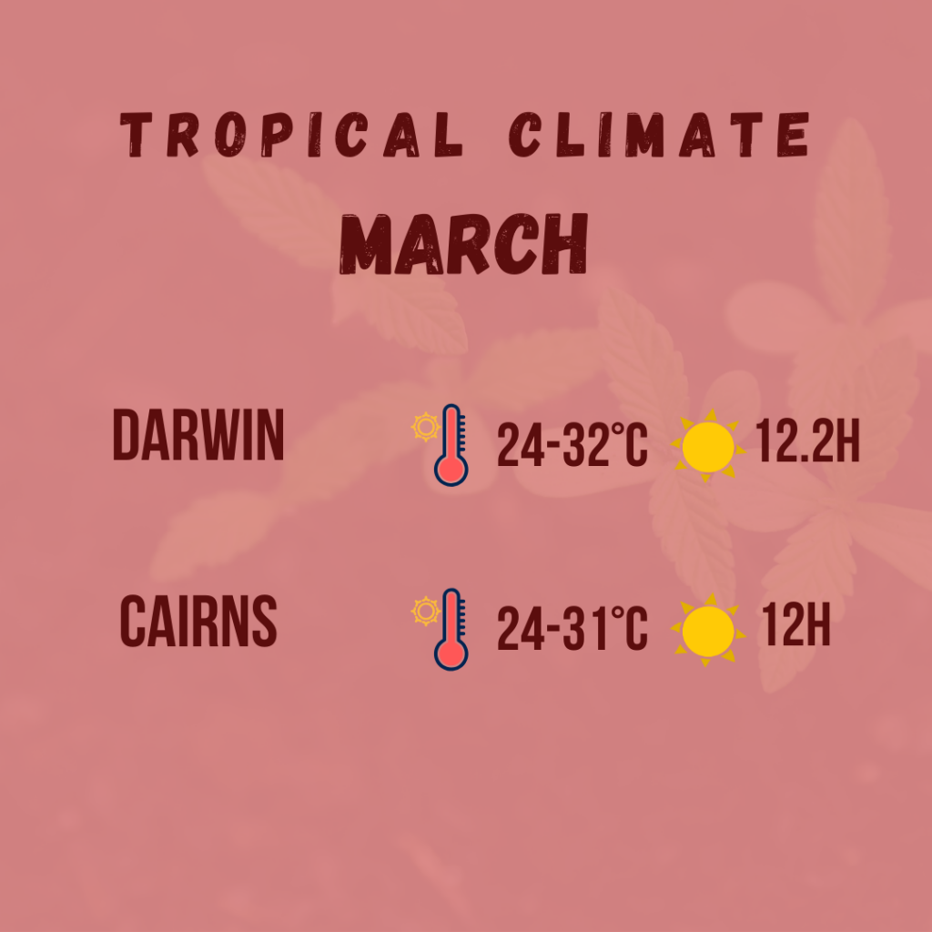 tropical climate diagram 2