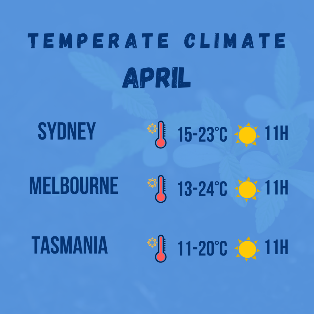 temperate climate diagram