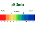 ph scale diagram