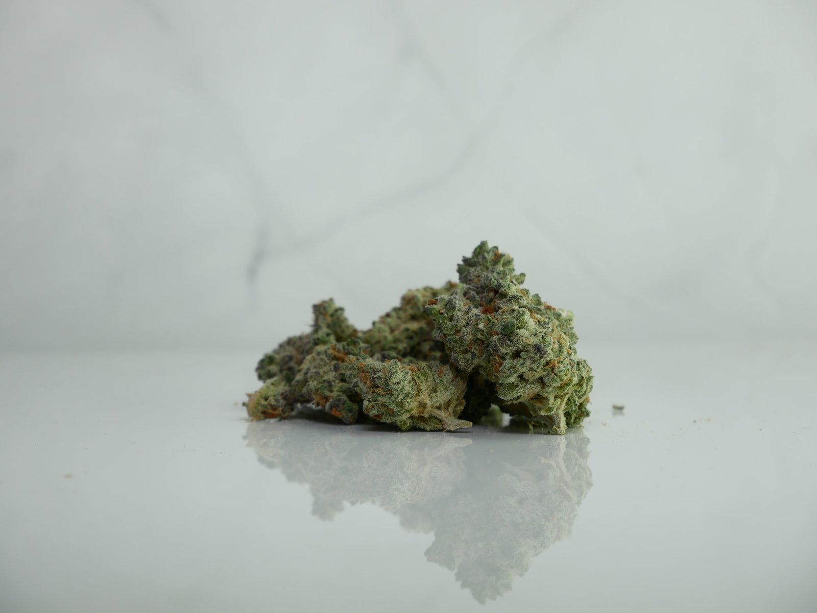 marijuana buds on white surface
