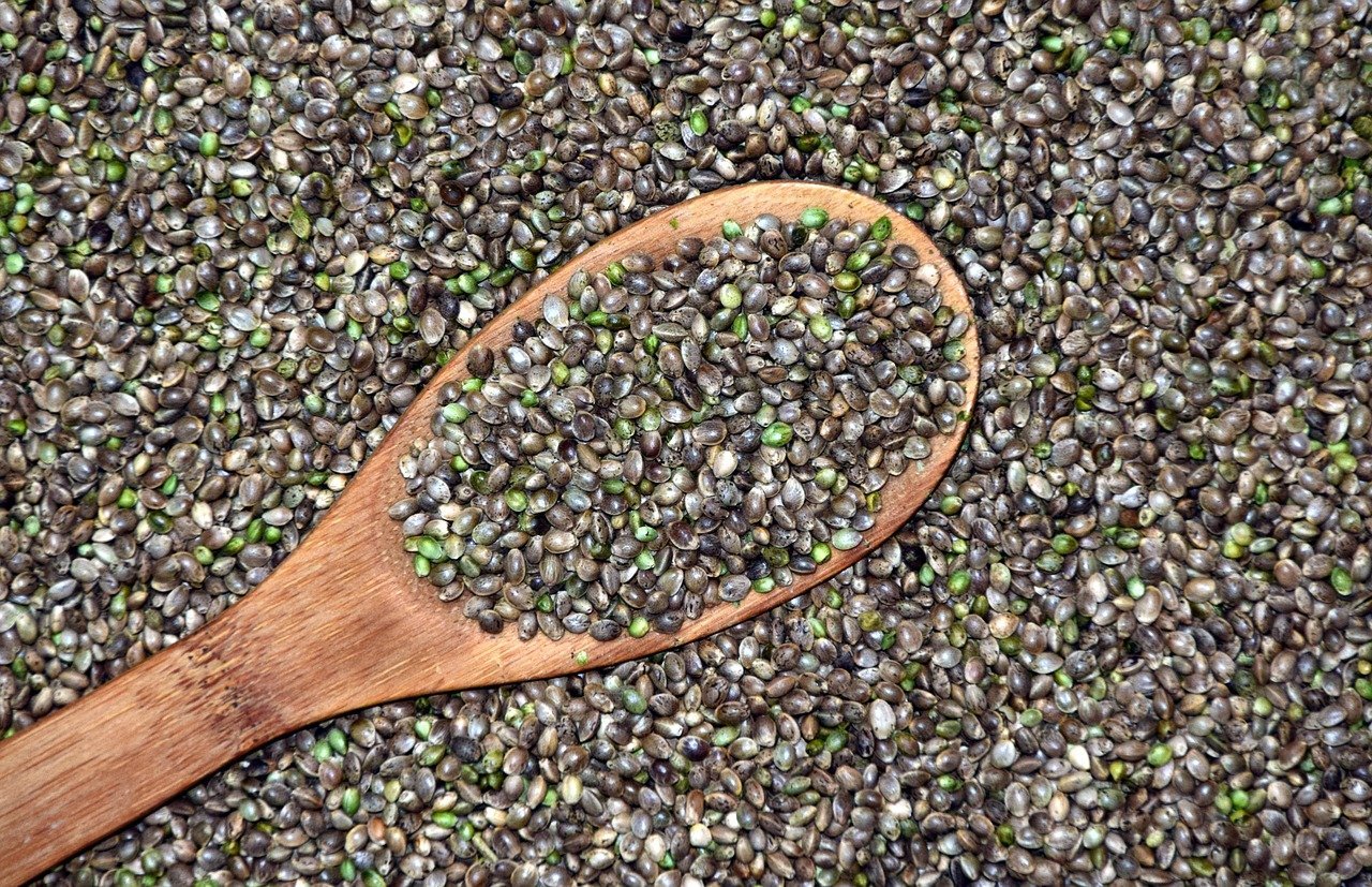 hemp seeds and wooden spoon