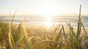 beach sunset in australia