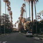 palm lined street LA