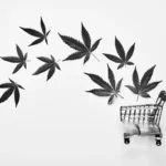Cannabis-Brands-Can-Now-Advertise-on-Twitter-But-Should-They-Just-Say-No