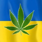 ukraine-flag-cannabis-1-1280×720