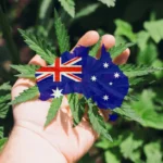 Cannabis_in_Australia