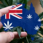 hand-holding-map-of-australia-over-cannabis-leaves