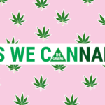 hero-campaign-yes-we-cannabis-169