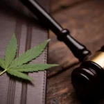 marijuana-leaf-and-judge-s-gavel (1)
