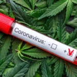 COVID-19-coronavirus-and-cannabis