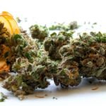 Medical-Marijuana-Market