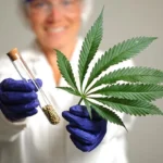 doctor-medical-marijuana
