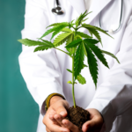 medical-cannabis-research-ptsd-treatments