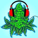3743_19I2_playmusicforcannabisplants