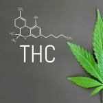 CBD – THC Cannabis Formula. Structural model of cannabidiol and tetrahydrocannabinol molecule. Medicinal cannabis CBD OIL