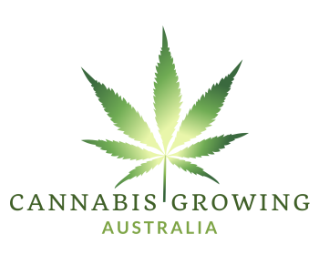 Cannabis Growing main logo